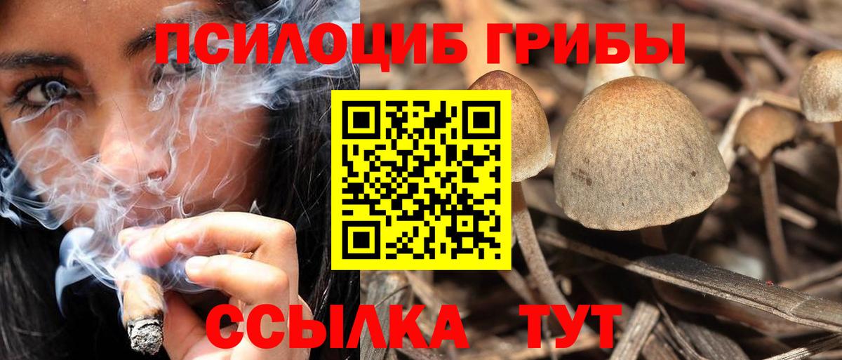 Псилоцибиновые грибы ЛСД Мирный