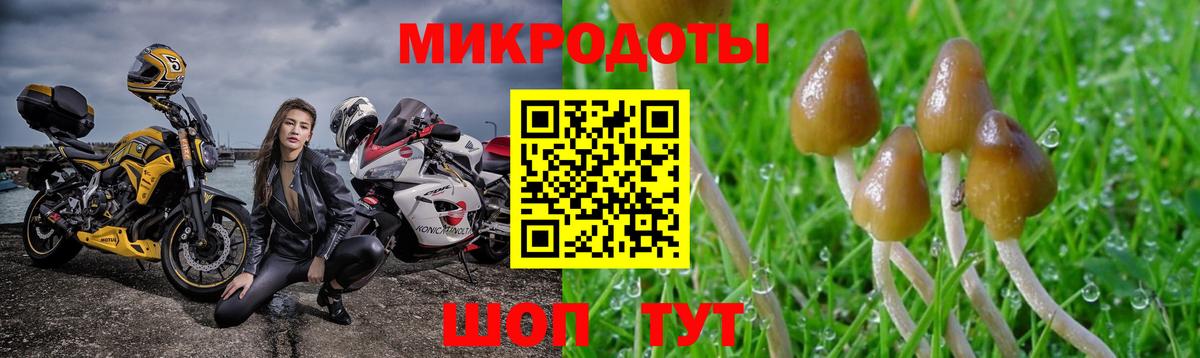 Псилоцибиновые грибы MAGIC MUSHROOMS  Вход с VPN  Мирный 